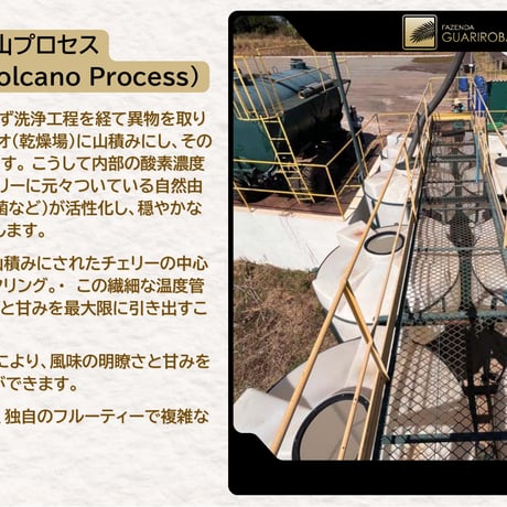 【ブラジル】ファゼンダグアリロバ 富士山プロセス 中浅煎り