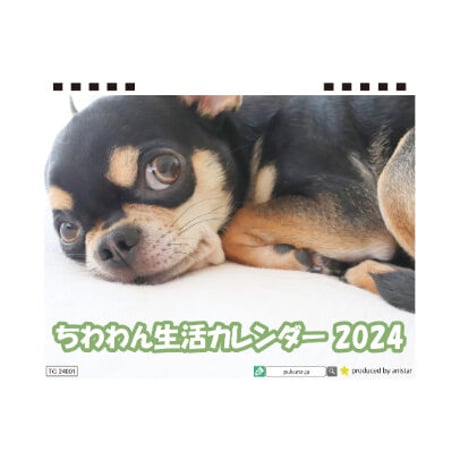 【予約販売】 チワワ犬のちわわん生活 2024年 卓上 カレンダー TC24026