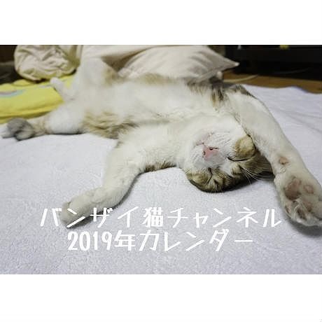 【送料無料】2019年 バンザイ猫チャンネル 壁掛けカレンダー