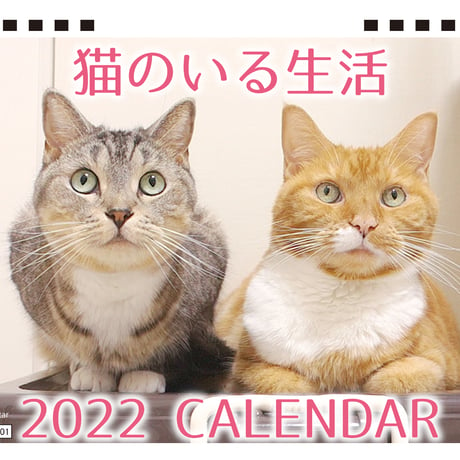 【予約販売】 猫のいる生活 2022年 卓上 カレンダー TC22087