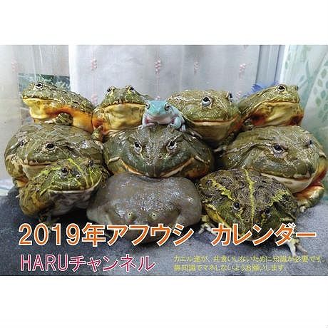 【送料無料】2019年　HARUチャンネル　壁掛けカレンダー