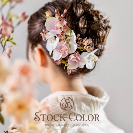 stockcolor's STORE