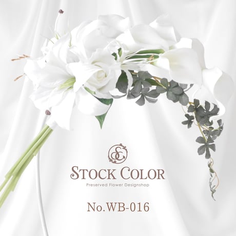 stockcolor's STORE