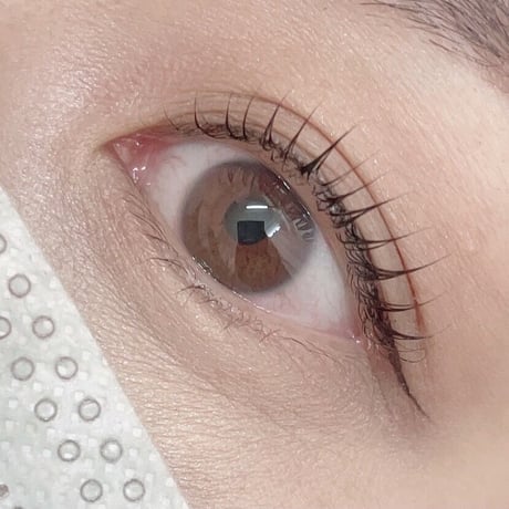 《定期便》COSME PARM lash&brow