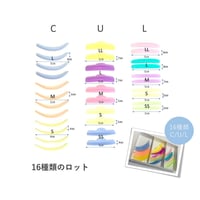 １６種類のロットセット