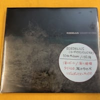Roedelius 『Wasser Im Wind』