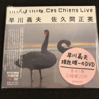 【DVD】早川義夫 佐久間正英 『いい人はいいね Ces Chiens Live』