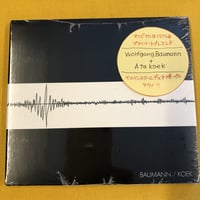 Baumann / Koek 『Baumann / Koek』