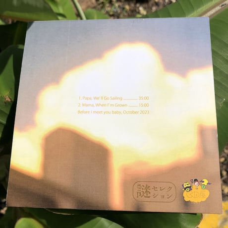 Decoy and the Crater 『Short Ballads』 (CDR)