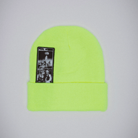 FUCKING AWESOME 2025 Dill Collage Beanie ネオン
