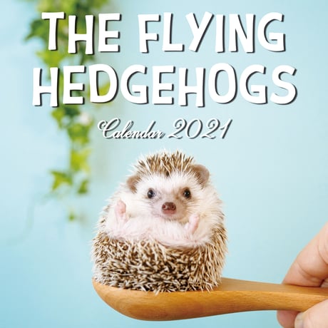 THE FLYING HEDGEHOGS 2021年卓上カレンダー(Japan Edition)