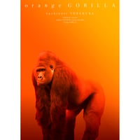 LIVE DVD "orange GORILLA"