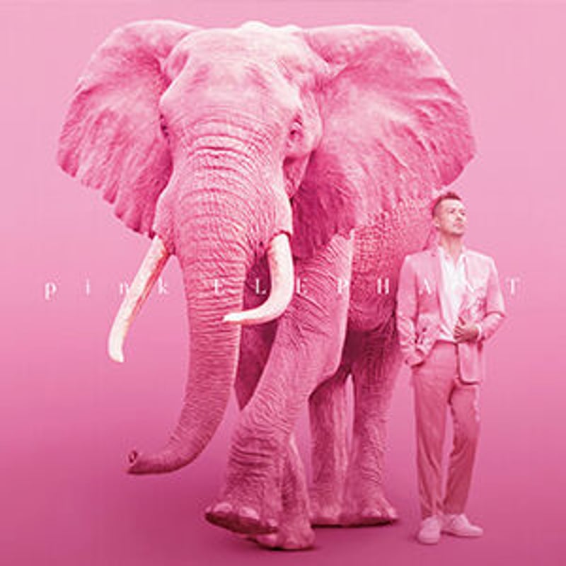 CD “pink ELEPHANT” | from DAWN to DUSK
