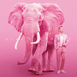 その他 Dwig Forget The Pink Elephant 2LP 12\" その他 Dwig Forget The Pink Elephant 2LP 12