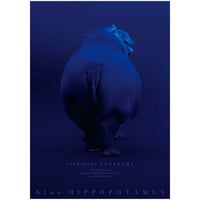 米倉利紀　LIVE DVD \"purple PENGUIN\" LIVE DVD 