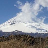 バイク輸送見積り