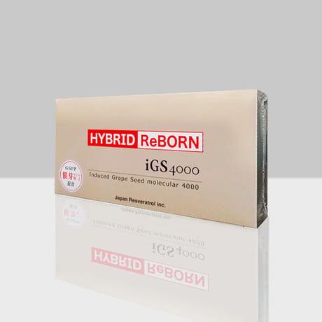 HYBRID ReBORN iGS4000