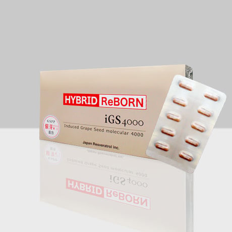 HYBRID ReBORN iGS4000