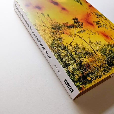 TO LOOK WITHOUT FEAR / Wolfgang Tillmans
