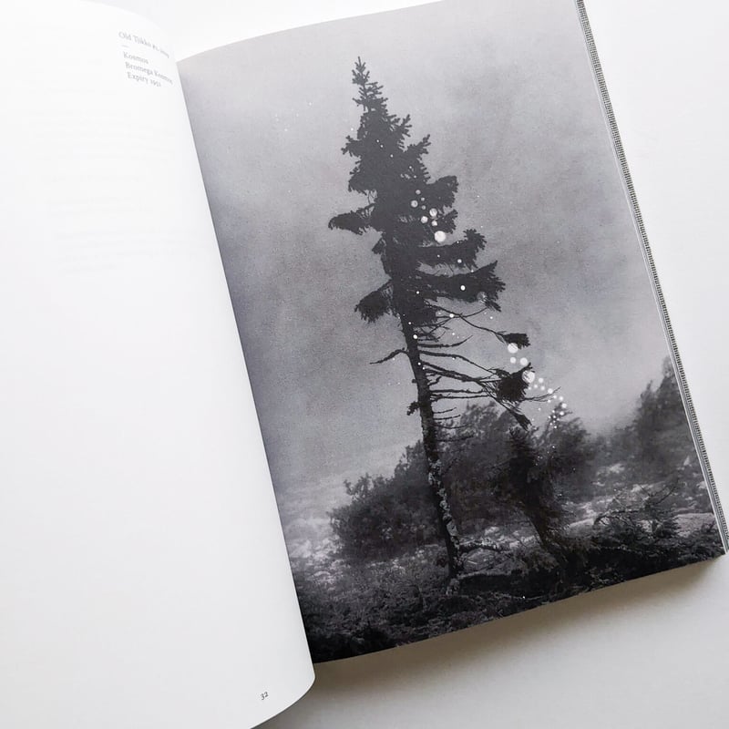 OLD TJIKKO [SECOND EDITION] / Nicolai Howalt |