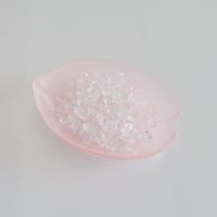 【いれもの】はなほのか 小皿 花びら