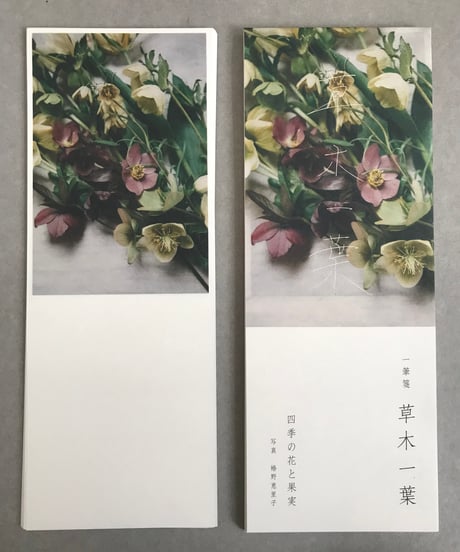 一筆箋　草木一葉　四季の花と果実