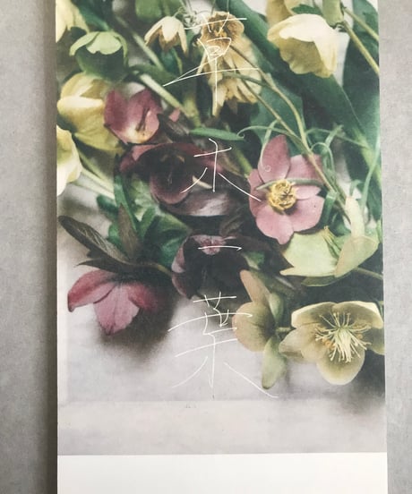 一筆箋　草木一葉　四季の花と果実