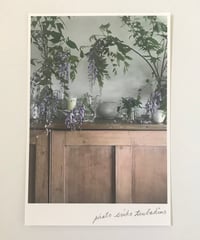 ＼NEW／季節の葉書　藤とすみれ