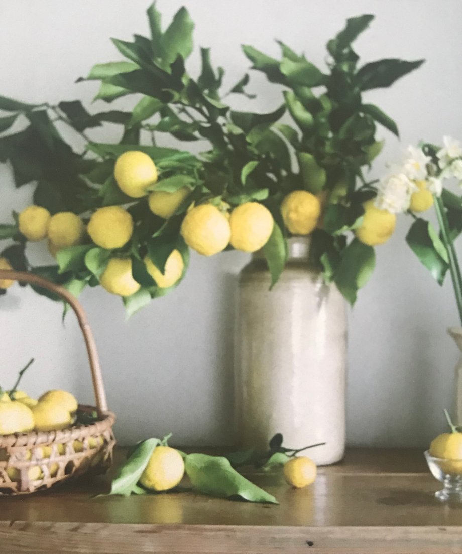 68ca3ab8f6dd2111fba354da