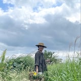 季節のかけら