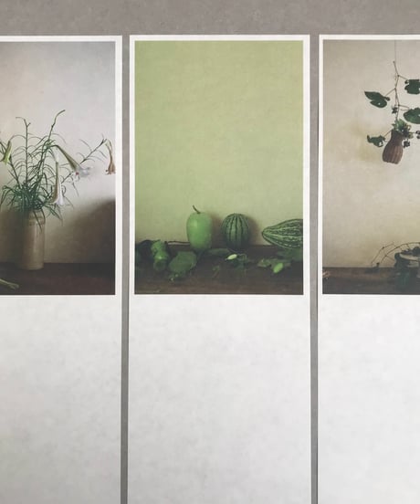 一筆箋　草木一葉　四季の花と果実