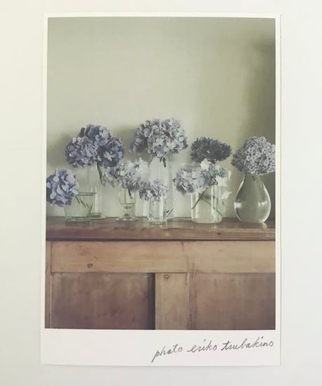 季節の葉書　紫陽花