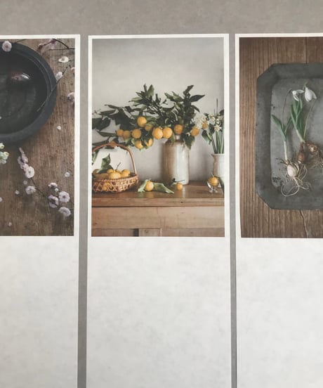 一筆箋　草木一葉　四季の花と果実