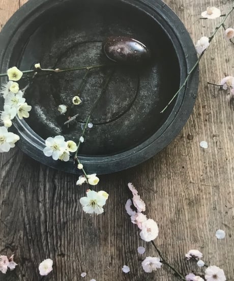 ＼NEW／季節の葉書 紅白梅