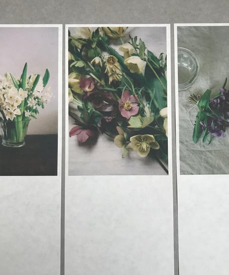 一筆箋　草木一葉　四季の花と果実