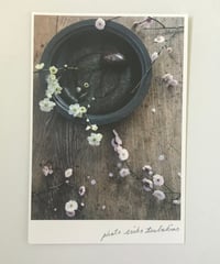 ＼NEW／季節の葉書 紅白梅