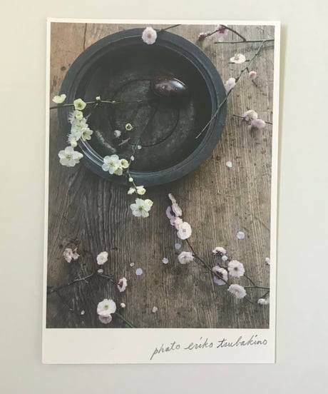 ＼NEW／季節の葉書 紅白梅