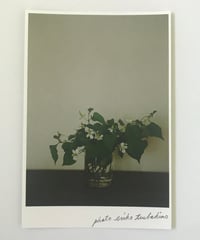季節の葉書 どくだみ
