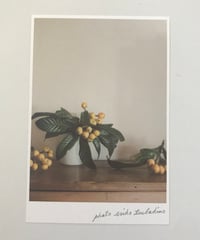 ＼NEW／季節の葉書　枇杷