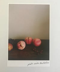 ＼NEW／季節の葉書  桃