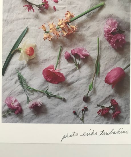 季節の葉書 桃色の花々