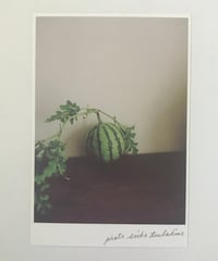 季節の葉書 西瓜