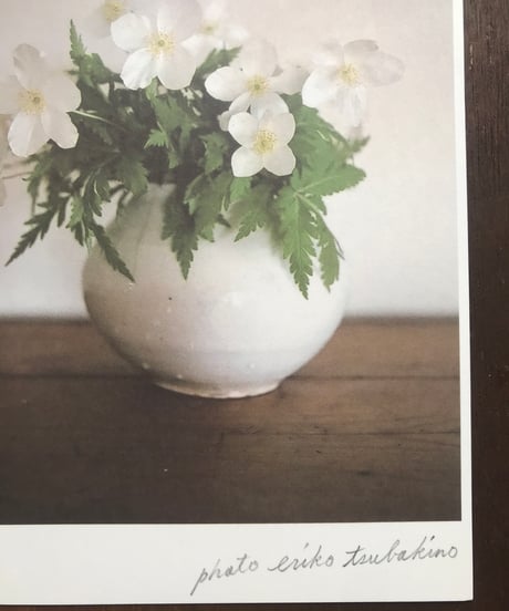 ＼NEW／季節の葉書セット　初夏　紫陽花と白い花々