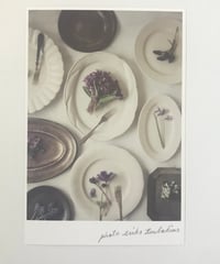 ＼再入荷／季節の葉書　白いうつわとスミレ
