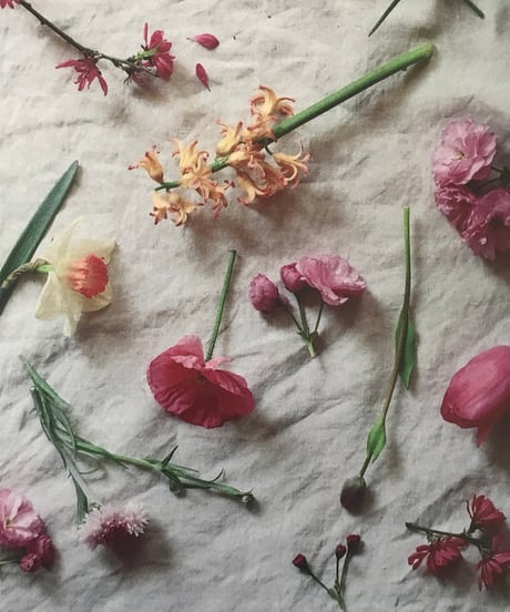 季節の葉書 桃色の花々