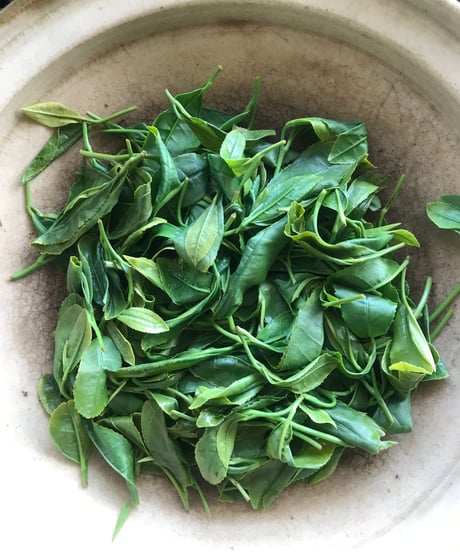 草花の会オンライン講座　　暮らしの中のお茶づくり