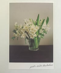 季節の葉書　白い花束