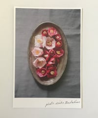 季節の葉書  椿