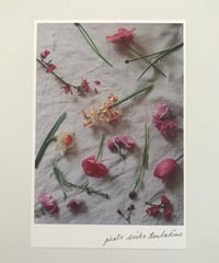 季節の葉書 桃色の花々