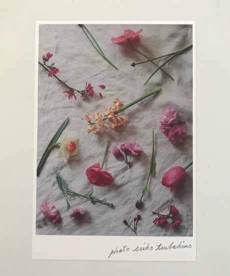 季節の葉書 桃色の花々